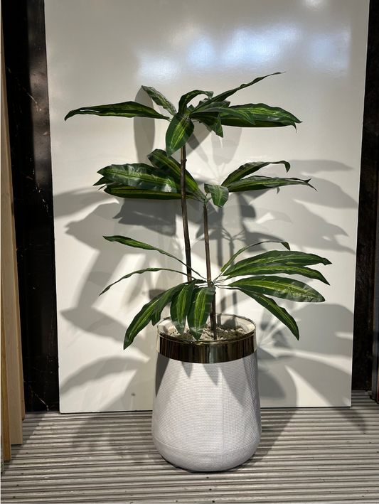 Lifelike Artificial Schefflera / Dracaena Plant