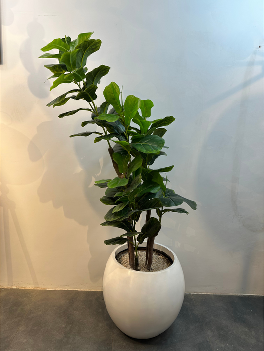 Lifelike Fiddle Leaf Fig Tree in Modern Pot