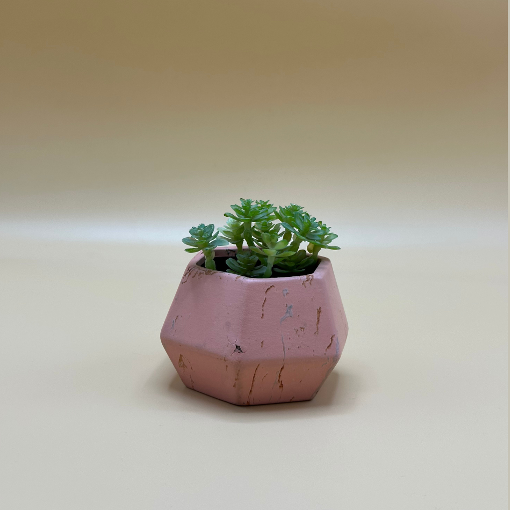Modern Geometric Pot with Artificial Succulent