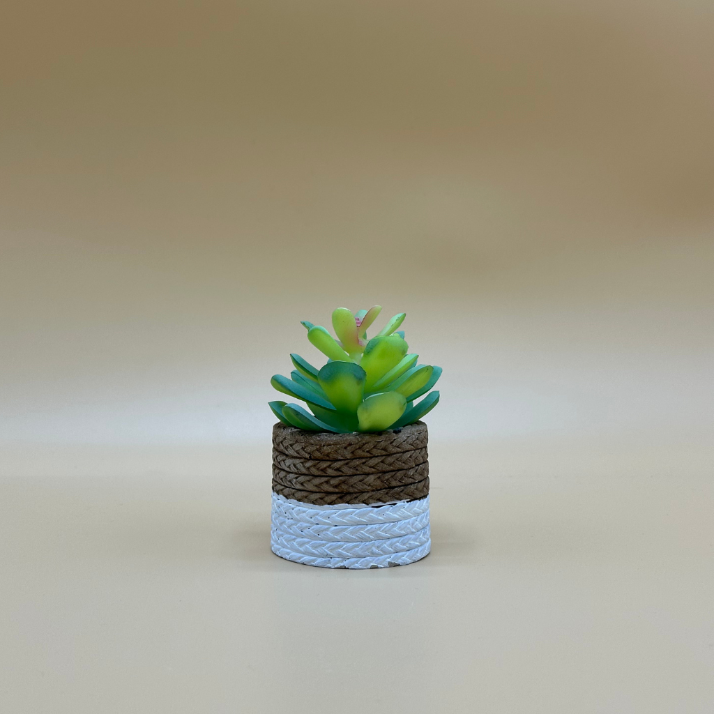 Charming Artificial Succulent in Two-Tone Rope-Wrapped Pot