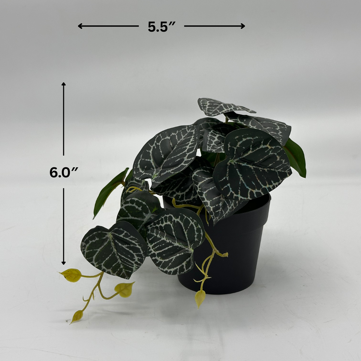 Realistic Artificial Piper Ornatum Plant in Black Pot