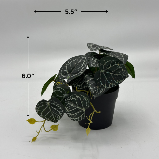 Realistic Artificial Piper Ornatum Plant in Black Pot