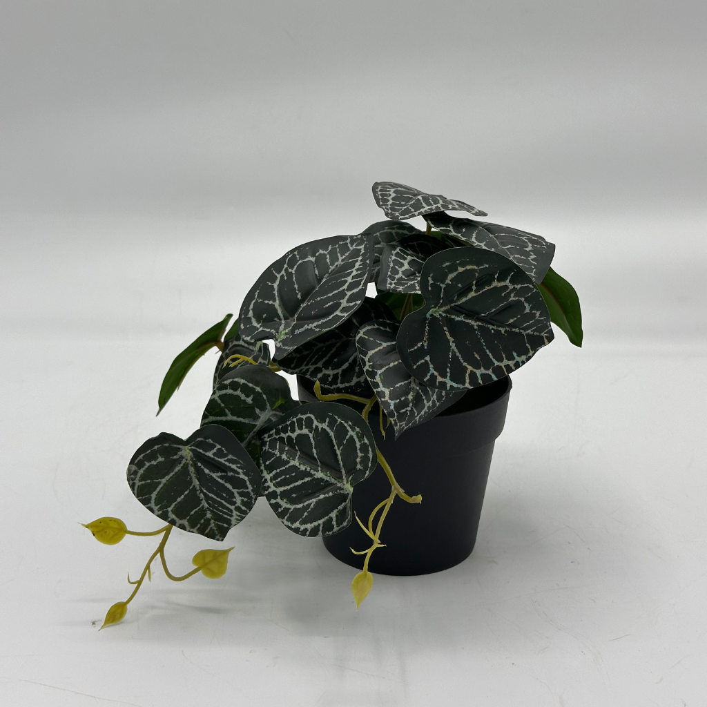 Realistic Artificial Piper Ornatum Plant in Black Pot