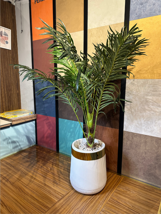 Elegant Artificial Areca Palm Tree in Gold-Accent White Pot