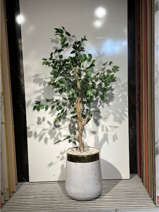 Lifelike Artificial Ficus Benjamina Tree in Modern Pot