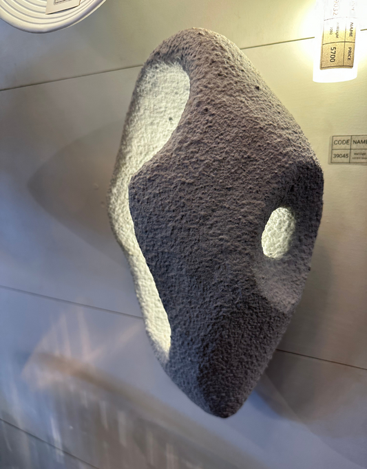 Organic Form LED Wall Light | Sculptural Accent Lighting