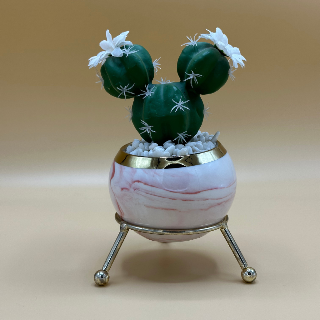 Whimsical Cactus Snow Globe | Southwestern Charm Decor