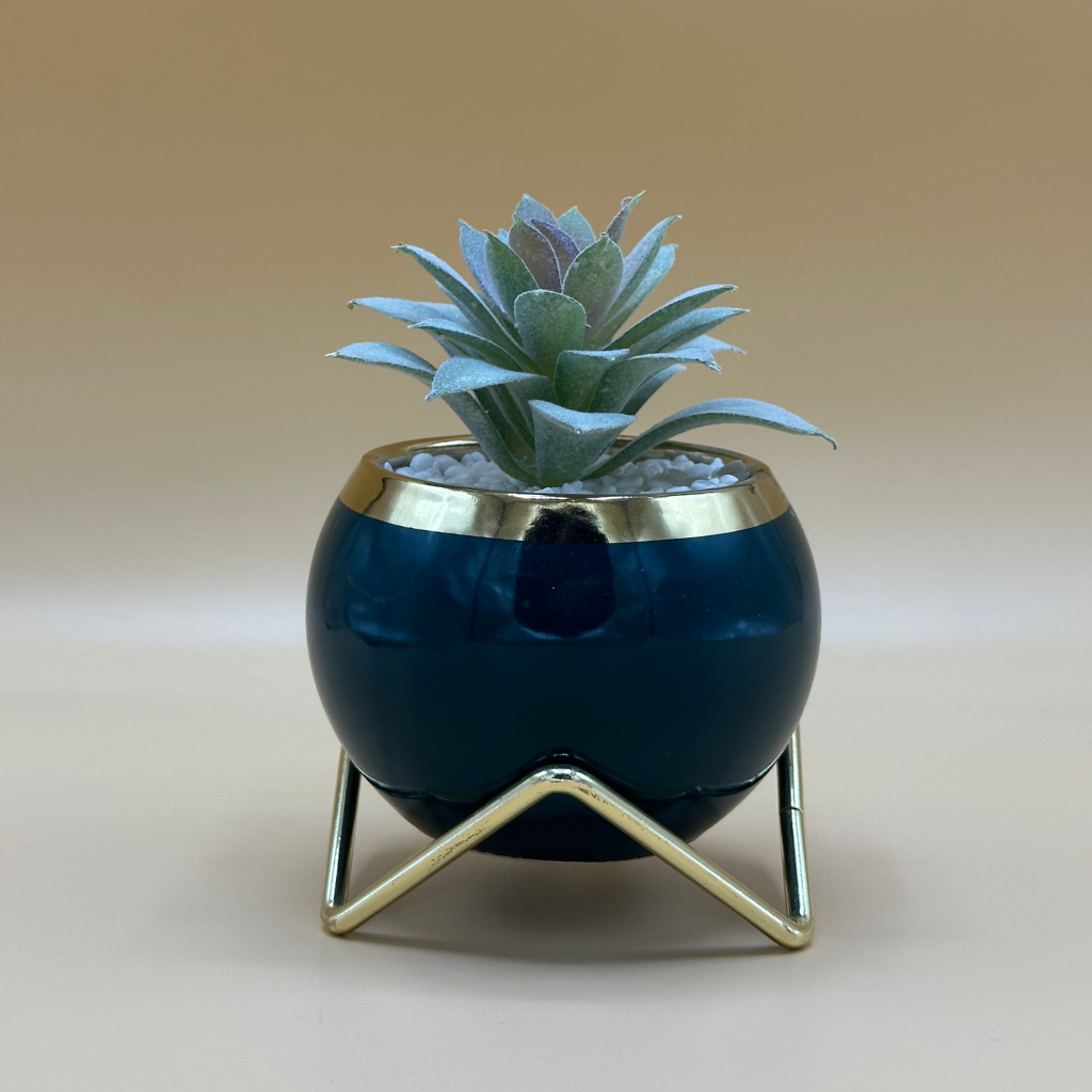 Whimsical Cactus Snow Globe | Southwestern Charm Decor