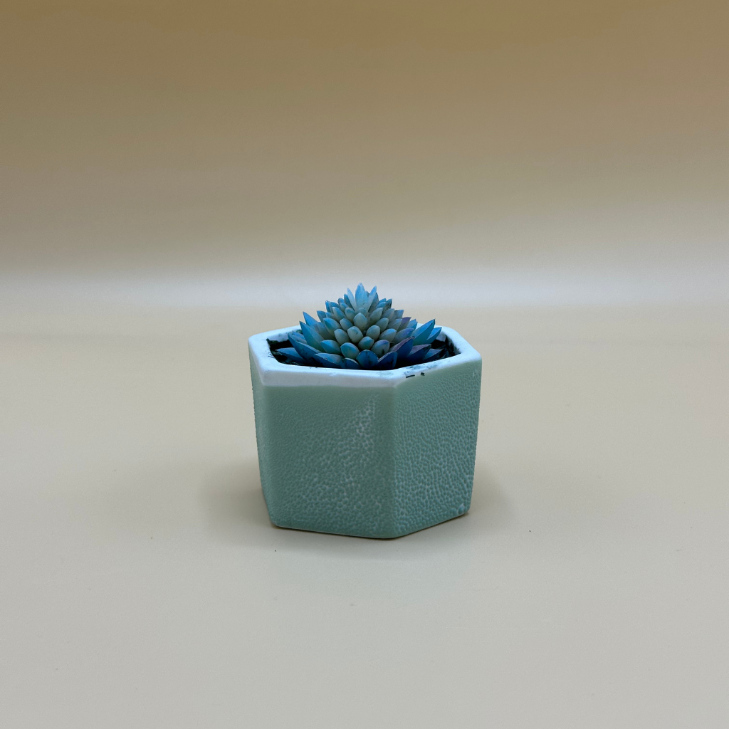 Modern Hexagonal Pot with Blue Artificial Succulent