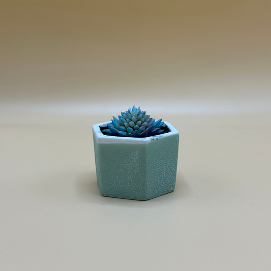 Modern Hexagonal Pot with Blue Artificial Succulent