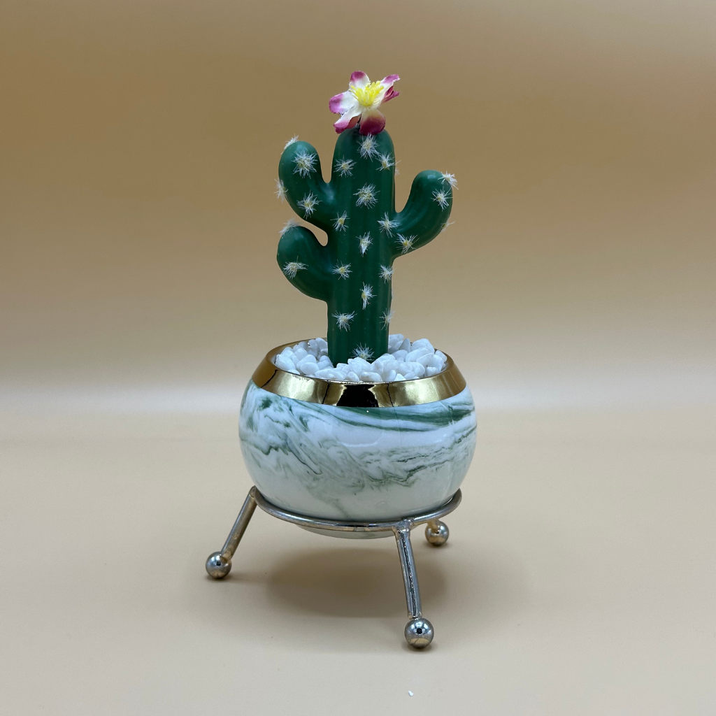 Whimsical Cactus Snow Globe | Southwestern Charm Decor