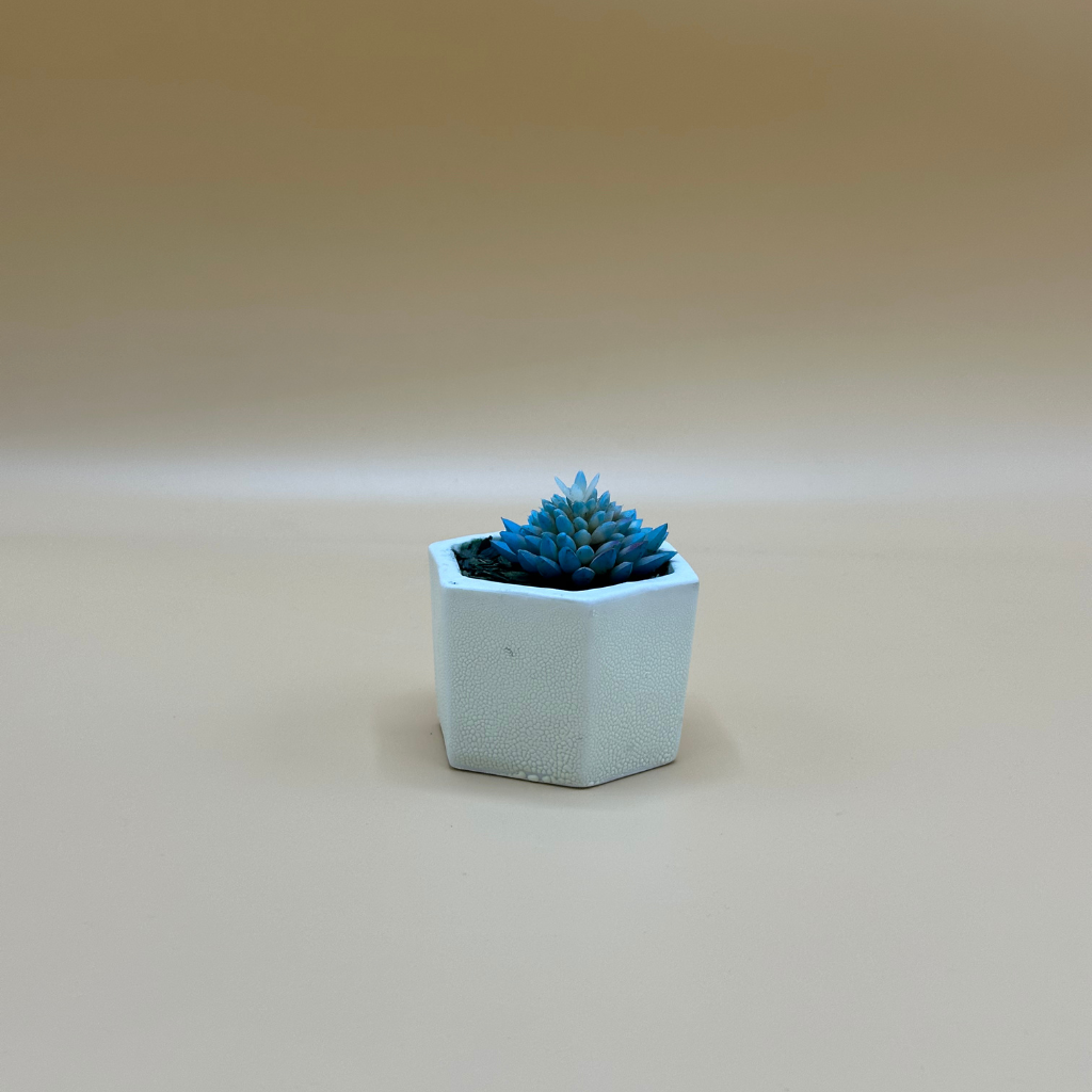 Modern Hexagonal Pot with Blue Artificial Succulent