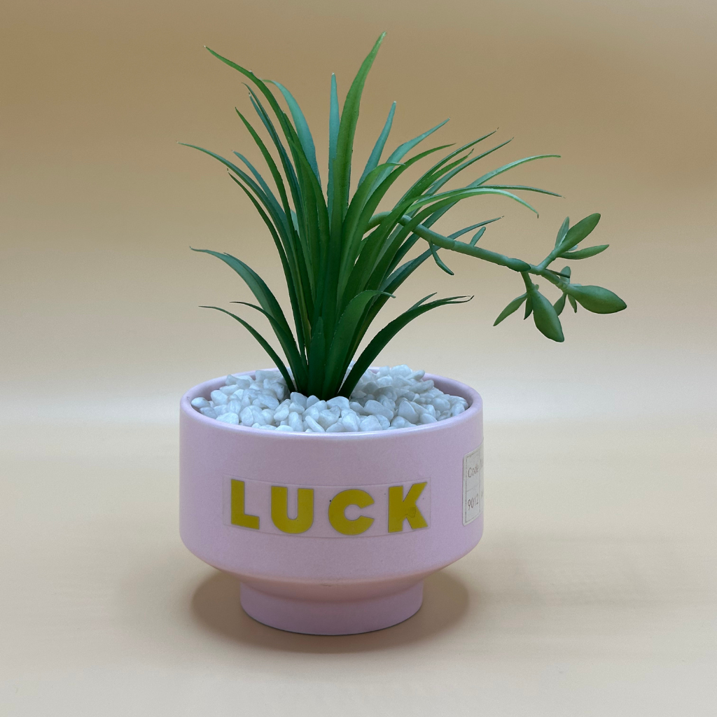 Lifelike Artificial Succulent in Modern Textured Pot