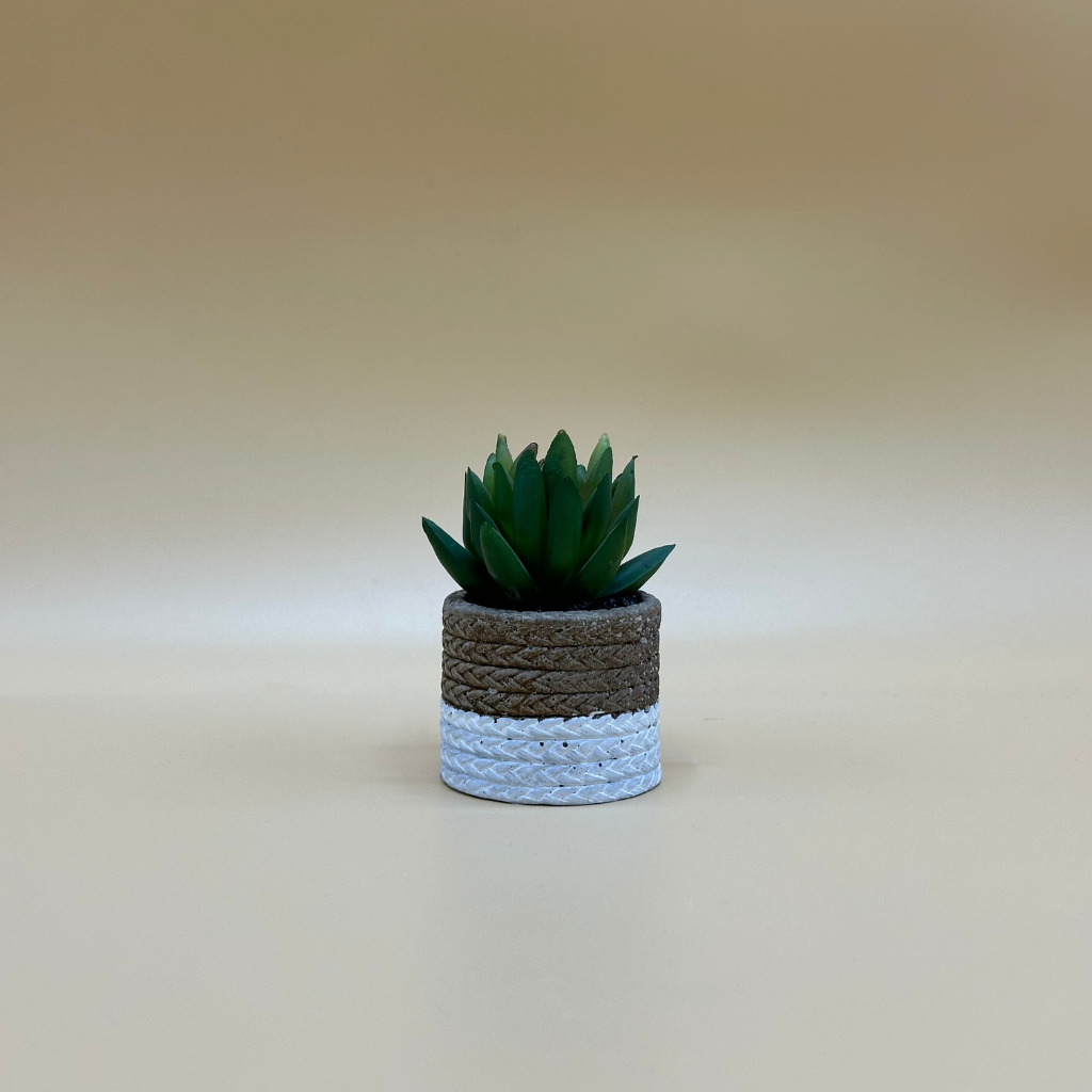 Charming Artificial Succulent in Two-Tone Rope-Wrapped Pot