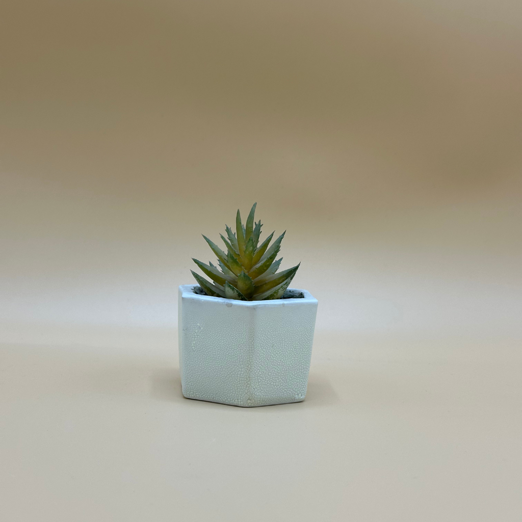 Modern Hexagonal Pot with Blue Artificial Succulent