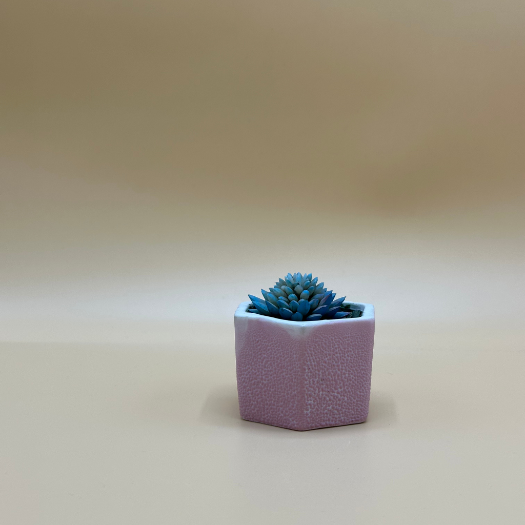 Modern Hexagonal Pot with Blue Artificial Succulent