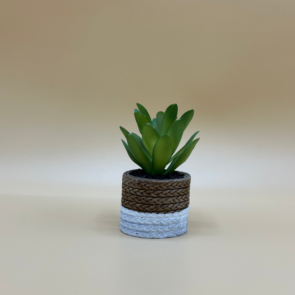 Charming Artificial Succulent in Two-Tone Rope-Wrapped Pot