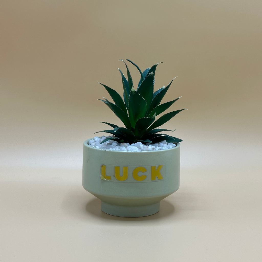 Lifelike Artificial Succulent in Modern Textured Pot