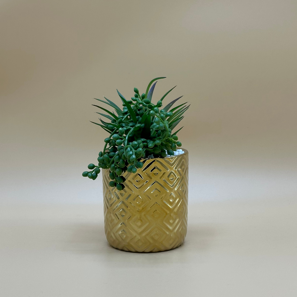 Modern Octagonal Planter Pot