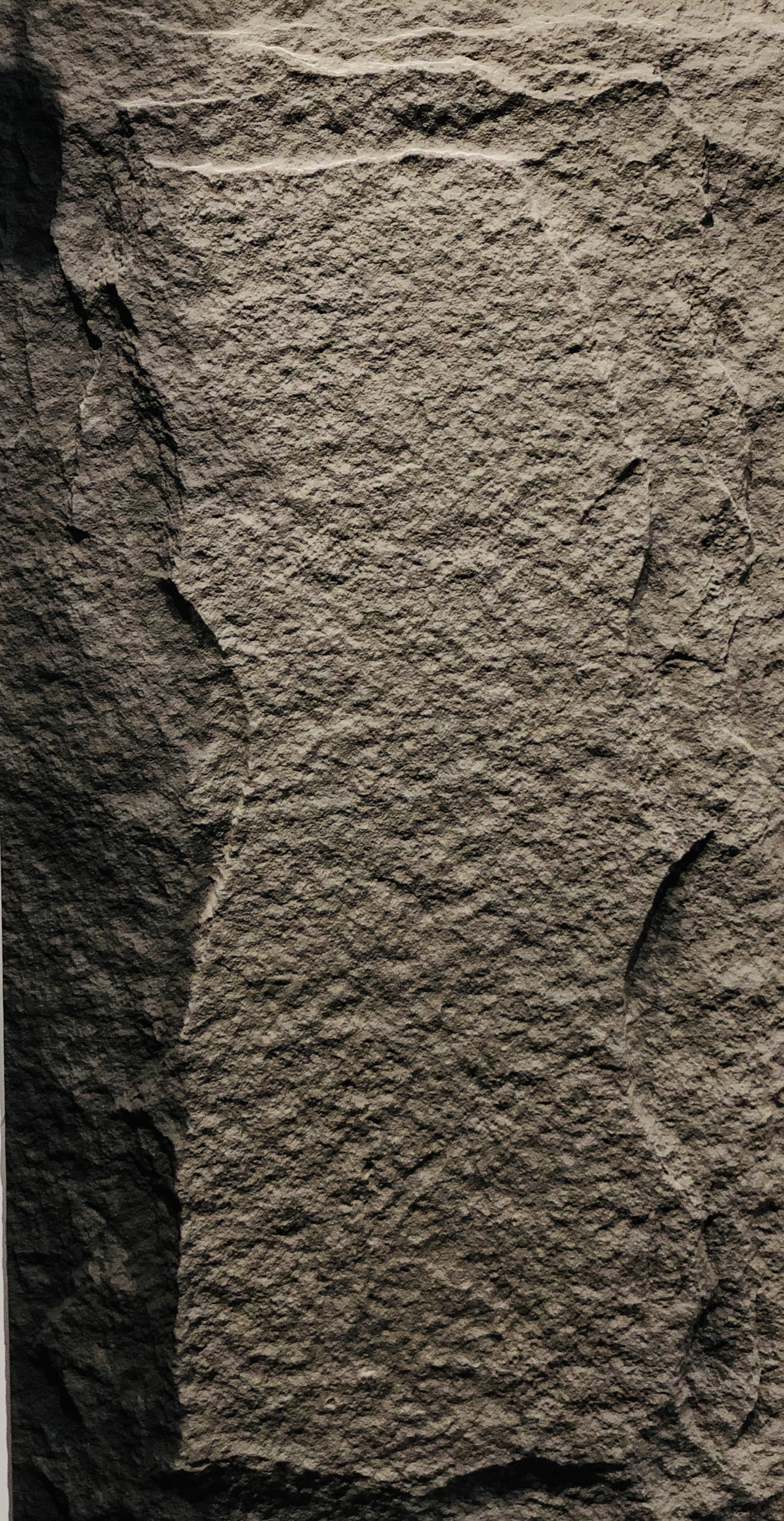 Dark Grey Natural Stone Textured Wall Panel